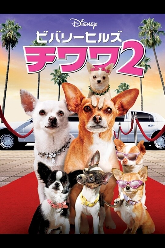 ビバリーヒルズ・チワワ2｜ブルーレイ・DVD・デジタル配信｜ディズニー公式