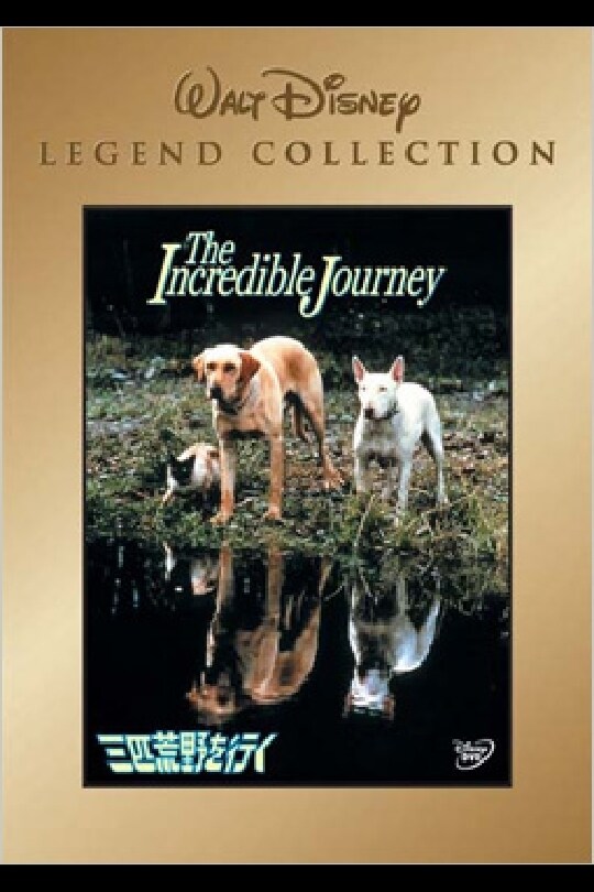 三匹荒野を行く｜ブルーレイ・DVD・デジタル配信｜ディズニー公式