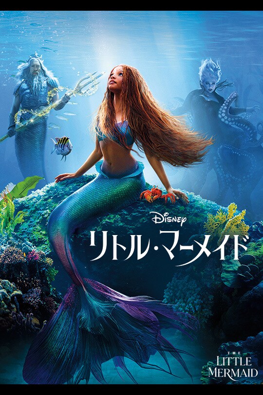 Disney ディズニー Little Mermaid リトルマーメイド Exclusive 2.5