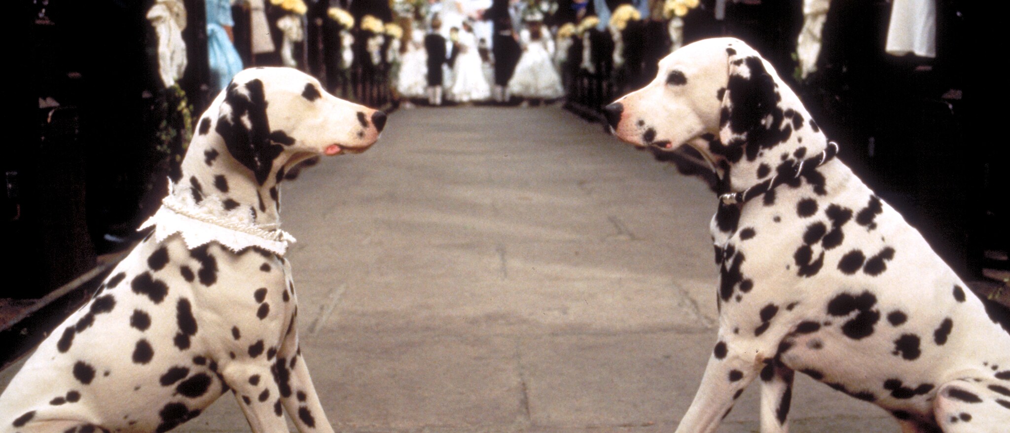 101 Dalmatians 1996