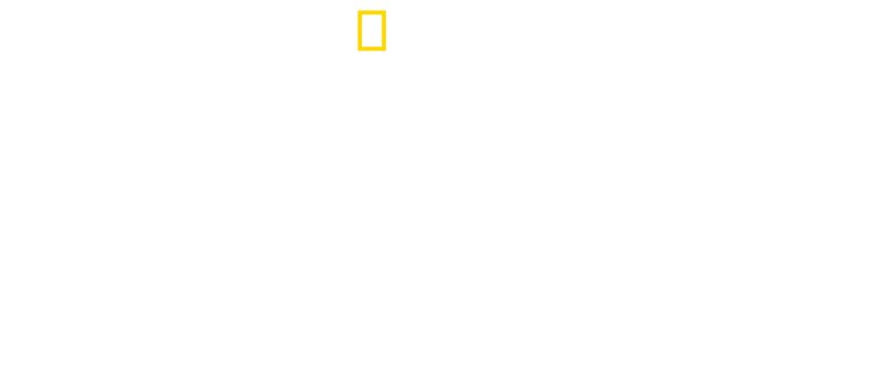 National Geographic | A Real Bug's Life | narrated by awkwafina | logo