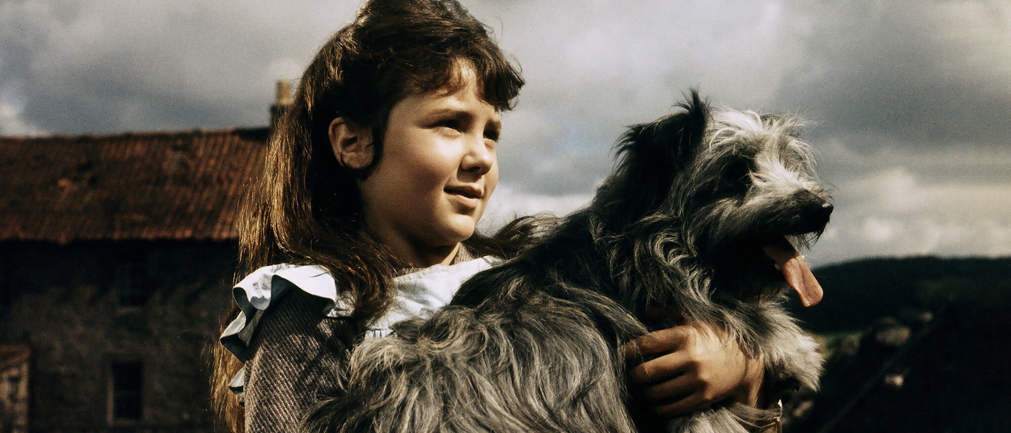 Greyfriars Bobby: The True Story of a Dog Hero