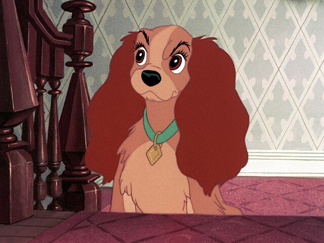 10 Doggone Delightful Discoveries from the Set of Disney+'s Lady and the  Tramp - D23