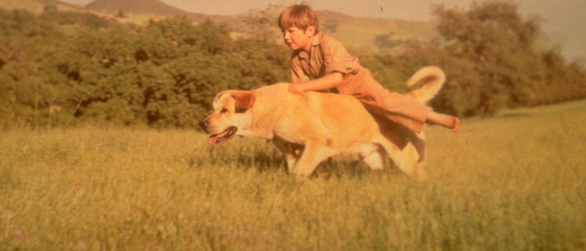 Old Yeller | Disney Movies