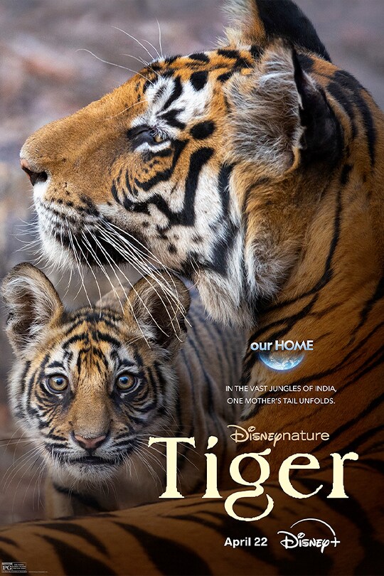 our Home | In the vast jungles of India, one mother's tail unfolds. | Disneynature: Tiger | April 22 | Disney+ | Rated PG | movie poster