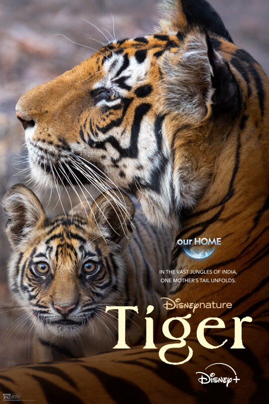our Home | In the vast jungles of India, one mother's tail unfolds. | Disneynature: Tiger | Disney+ | Rated PG | movie poster