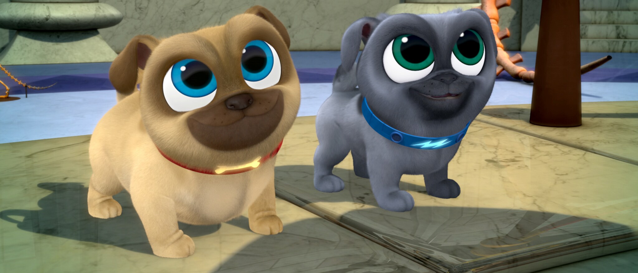 what kind of dogs are the puppy dog pals