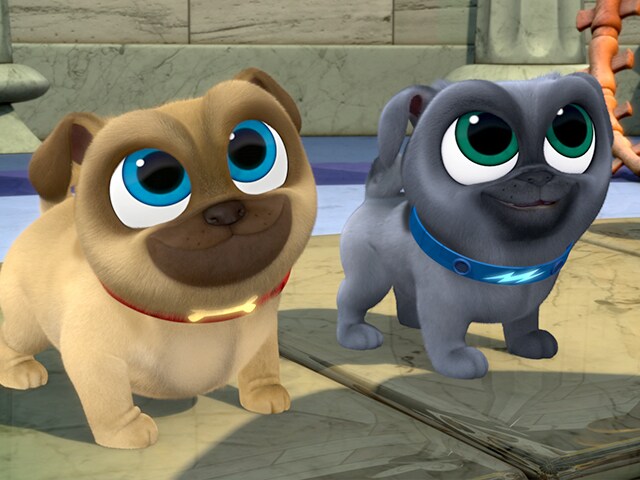 who is bob from puppy dog pals