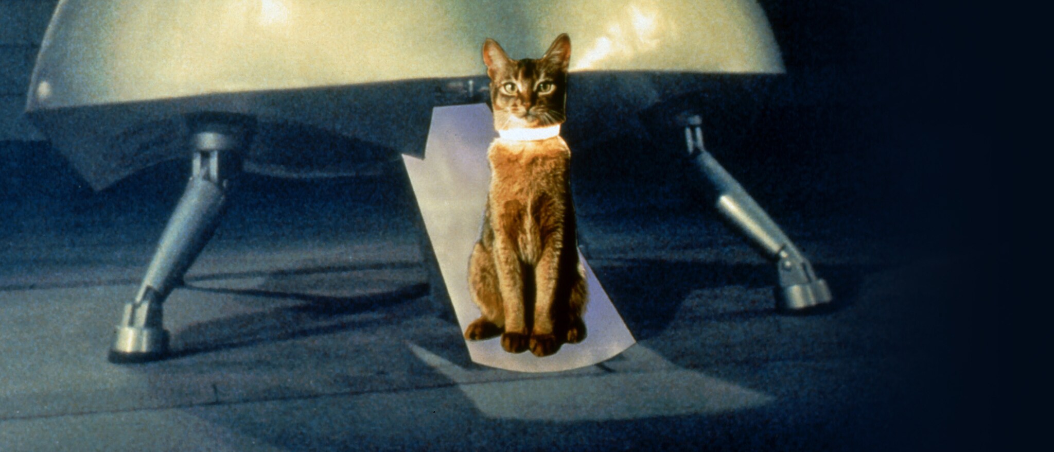 The Cat from Outer Space Hero