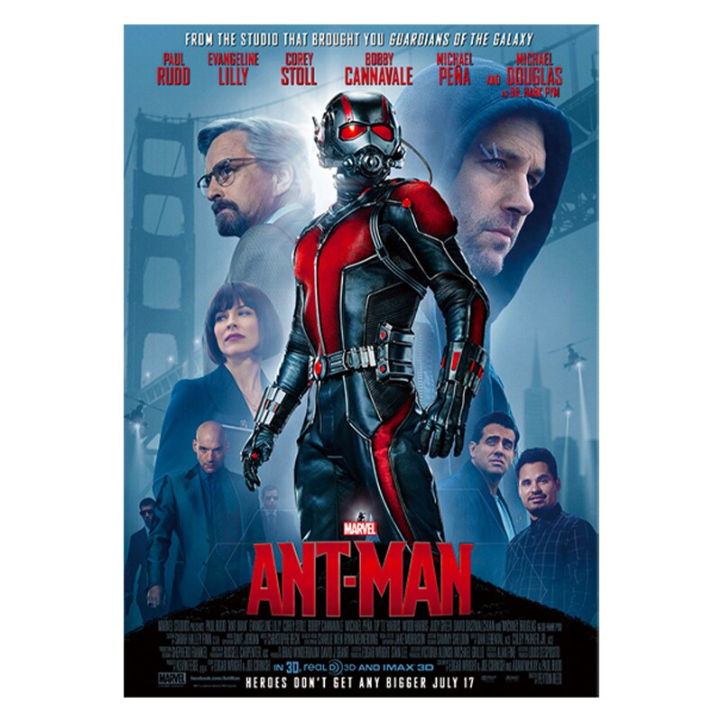 MR 最小最強のヒーロー 1枚 アントマン ヴァイス アントマン｜映画