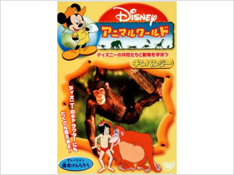 ディズニーアニマルワールド／チンパンジー｜ブルーレイ・DVD