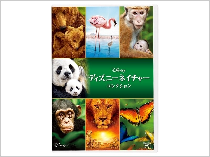 ディズニーネイチャー/サルの王国とその掟 ブルーレイ+DVDセット Blu-ray-
