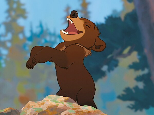 11 Life Lessons You Can Learn from Disney Bears