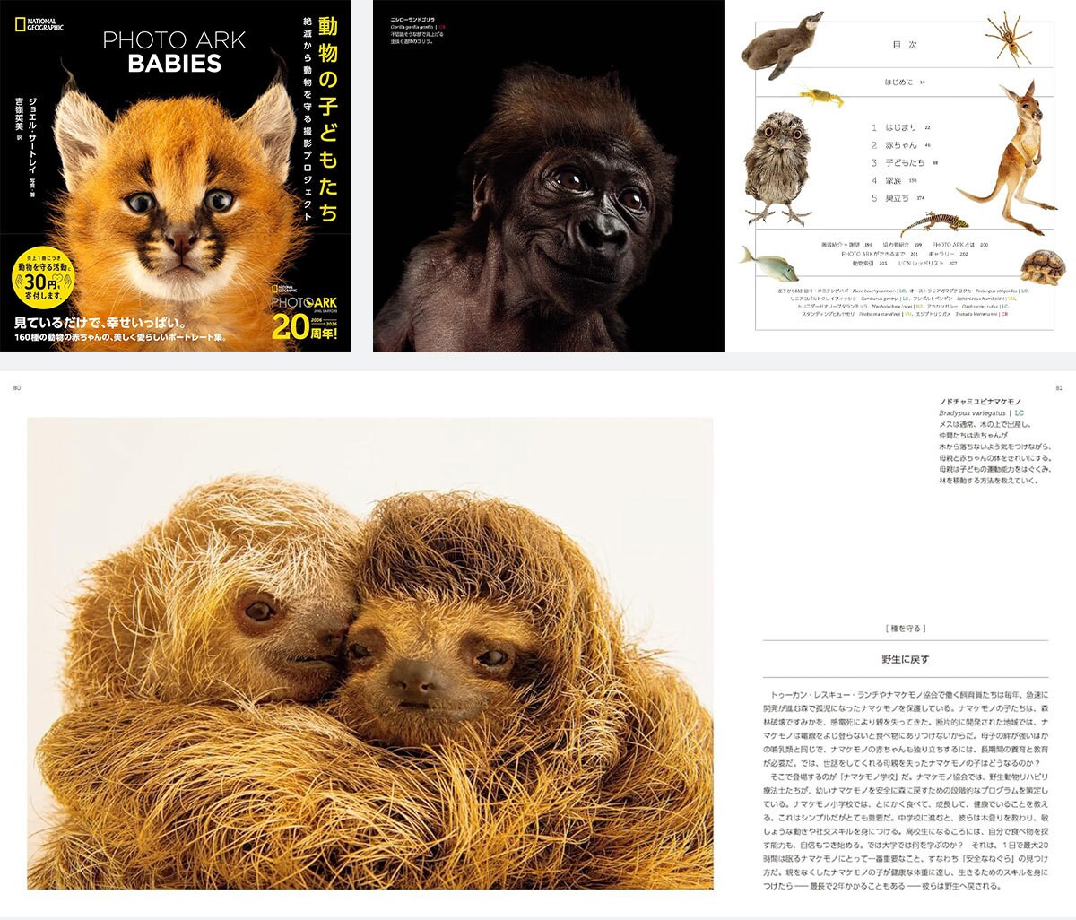 世界最高峰の動物作家，ジャッキーマリーヴォーグ「ジャージーカウ