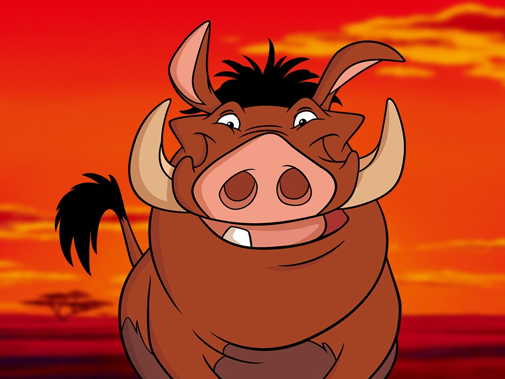 しばライオンページ pumbaa_fc_lionking_s_a2a72bfd.jpeg