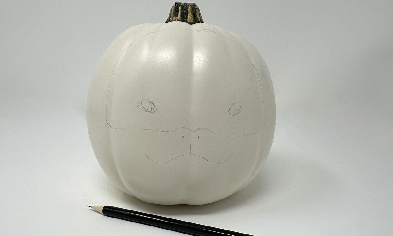Use the Loth-cat seen in the first two episodes of Ahsoka as a guide to roughly sketch its face on the craft pumpkin.