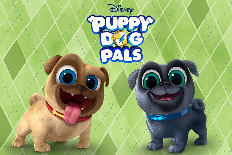 puppy dog pals funko pop