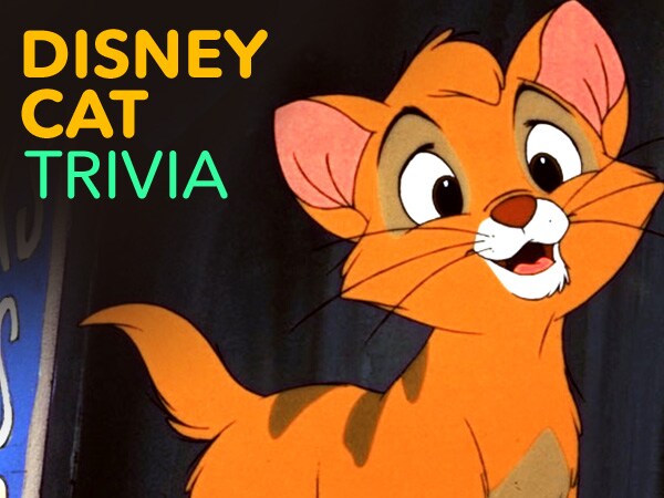 Name That Disney Cat Quiz | Disney Games | Indonesia