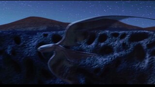 Rookies Trivia Gallery