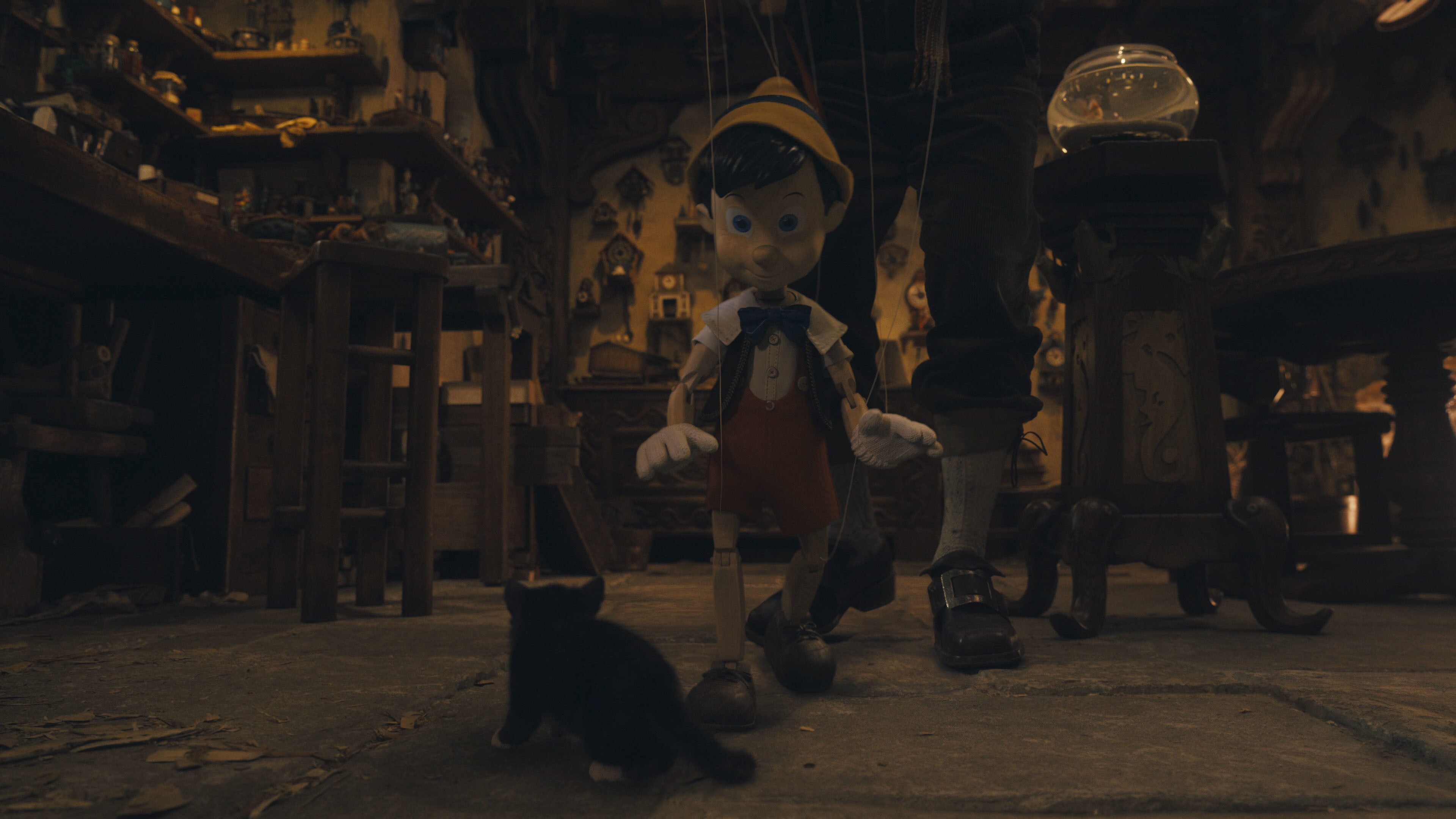 (L-R): Figaro and Pinocchio (voiced by Benjamin Evan Ainsworth) in Disney's live-action PINOCCHIO, exclusively on Disney+. Photo courtesy of Disney Enterprises, Inc. © 2022 Disney Enterprises, Inc. All Rights Reserved.