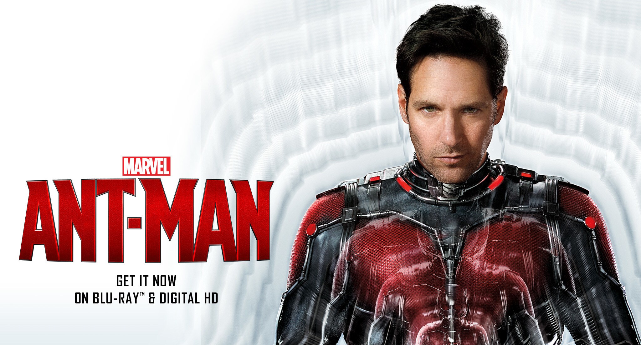 Image result for ant-man