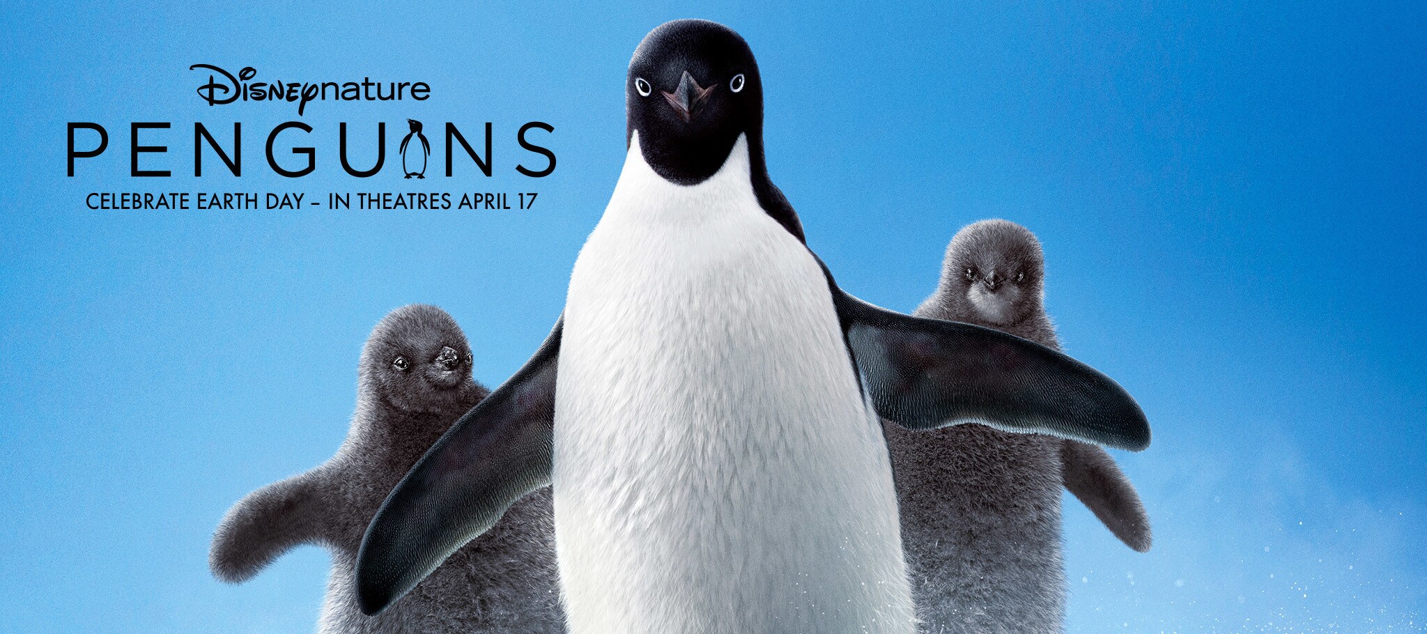 Penguins | Disneynature