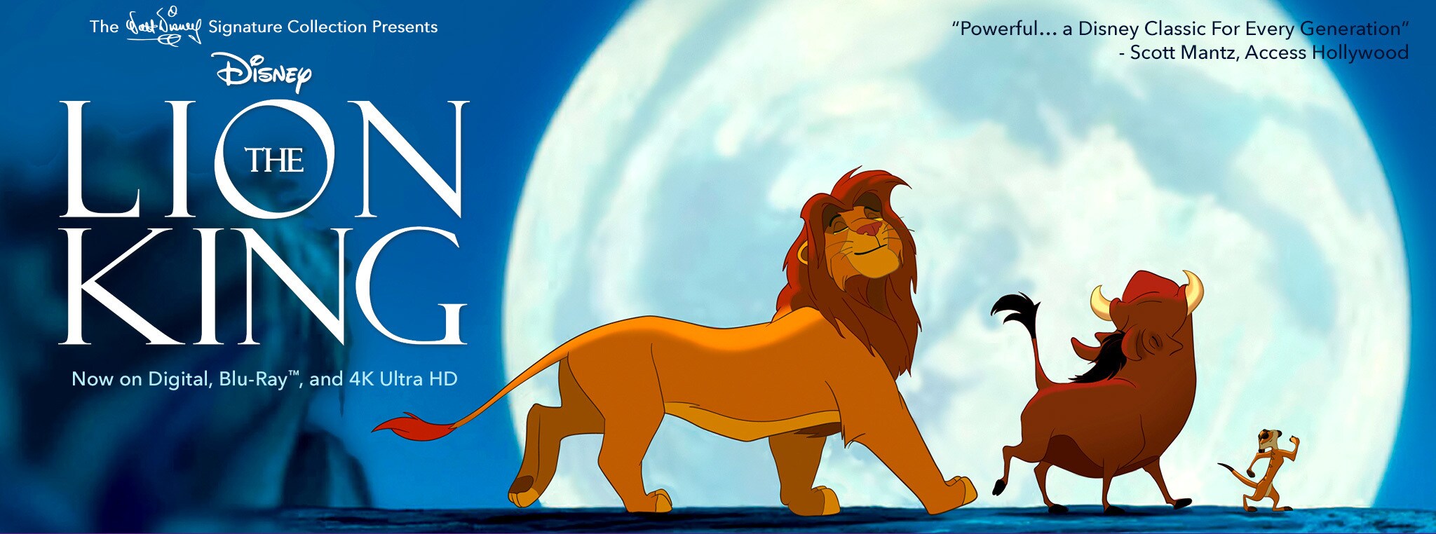 Hasil gambar untuk lion king