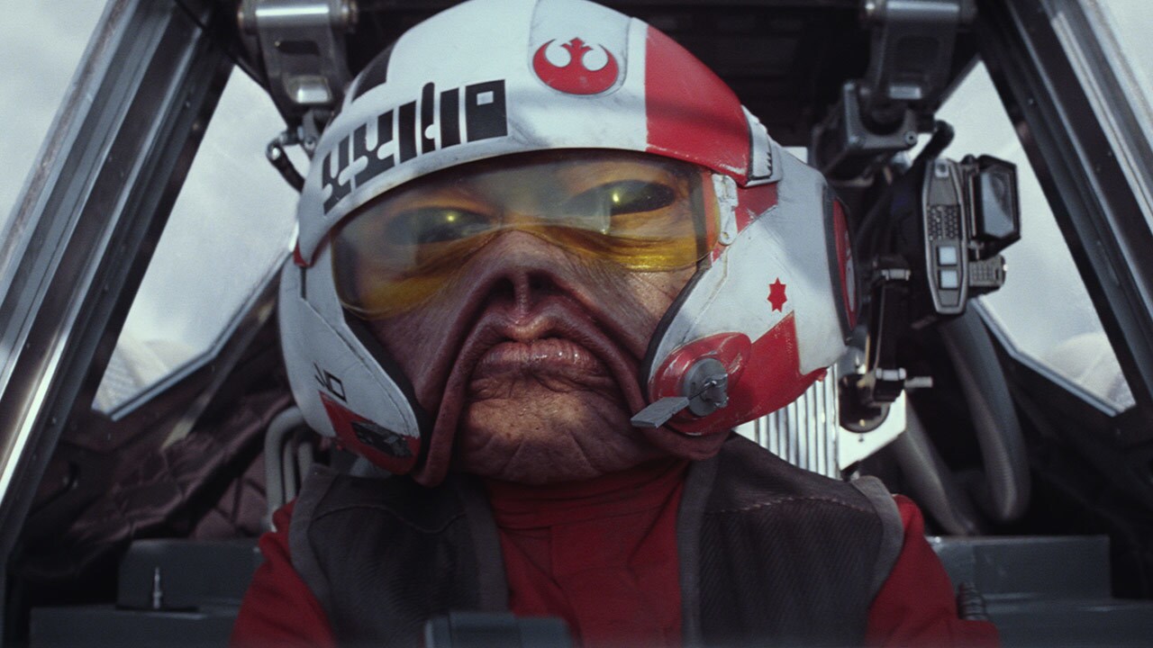 A Sullustan smuggler, Nien Nunb assisted Leia Organa on many Alliance missions and flew as Lando ...
