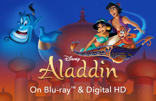 Aladdin Kostüm