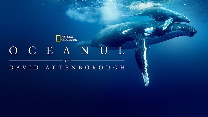 Oceanul cu David Attenborough