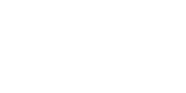 The Rookie