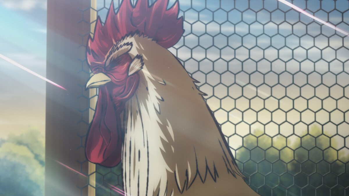 Imágenes - Rooster Fighter | Serie - Press Kit