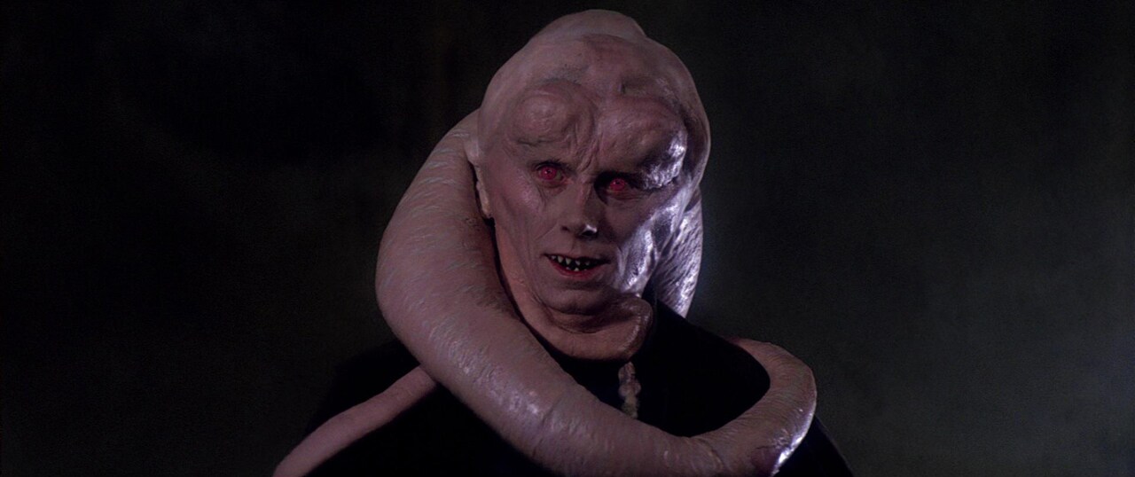 Bib Fortuna