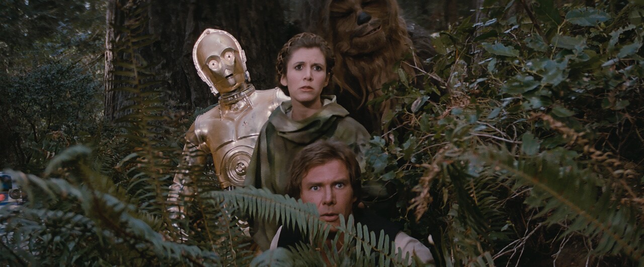 C-3PO, Leia, Han, and Chewie on Endor in Return of the Jedi.