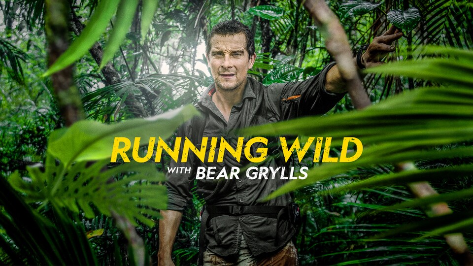 Running Wild With Bear Grylls' Moves From NBC to Nat Geo – The Hollywood  Reporter