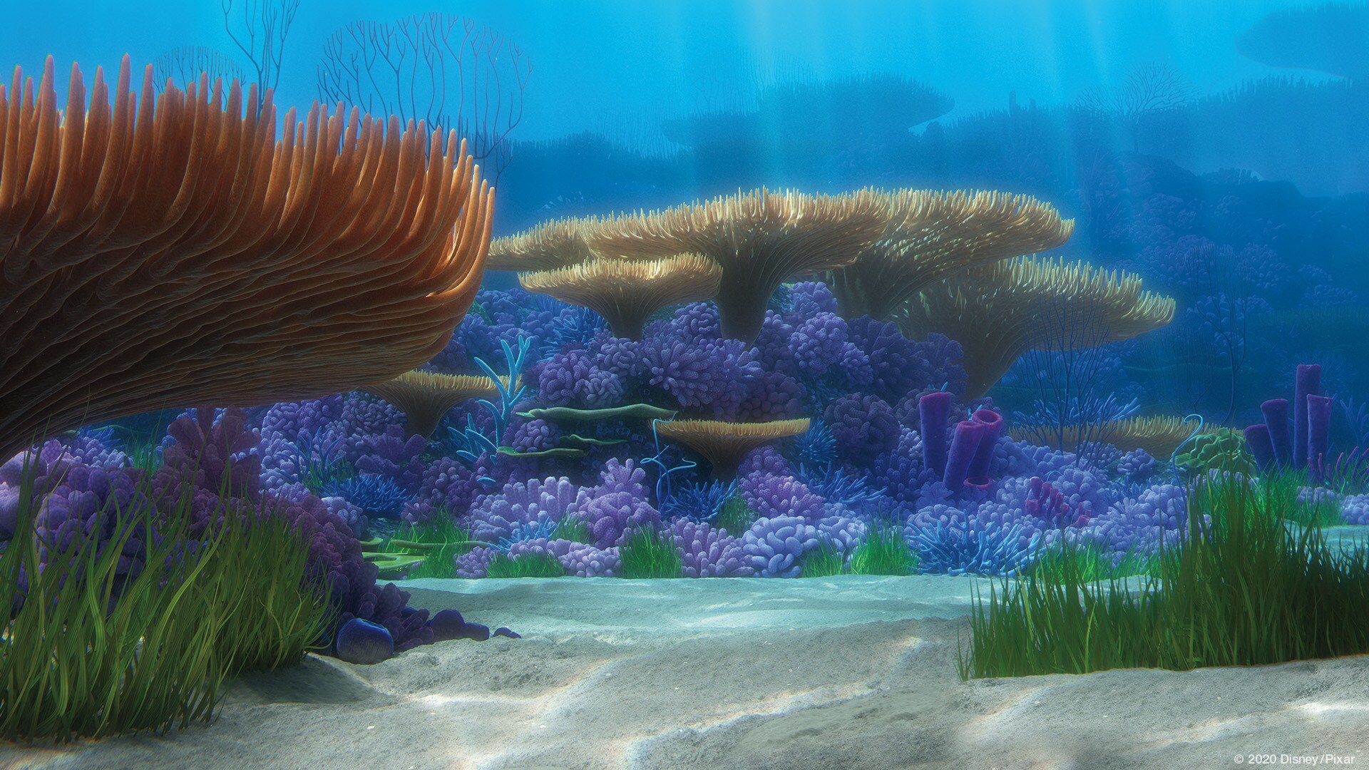 Finding Nemo video background