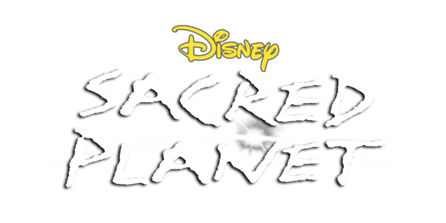 Sacred Planet