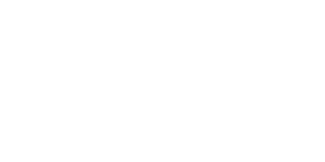 The Search for Santa Paws