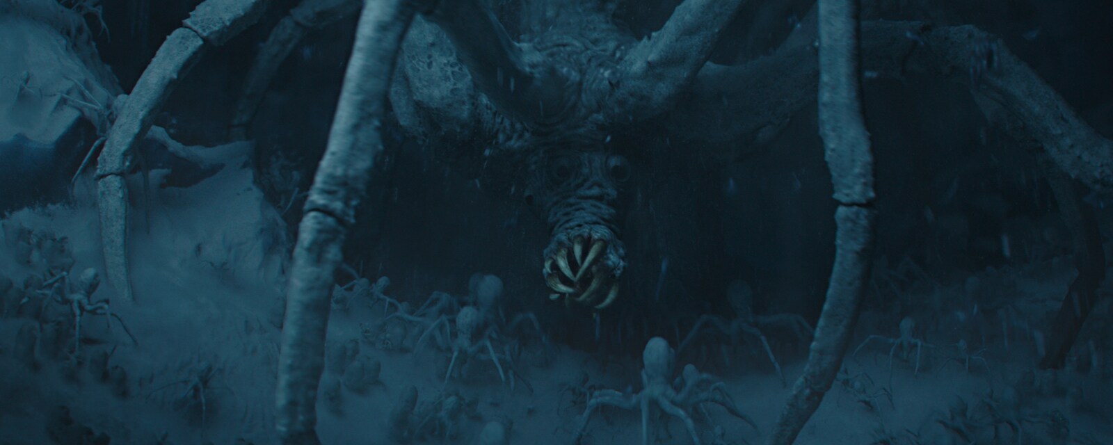 Ice spiders crawl out of their cave.