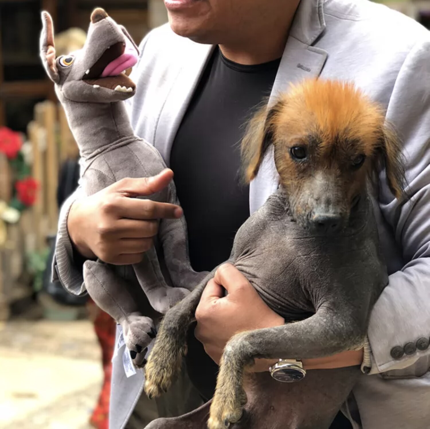 dante plush with xolo dog