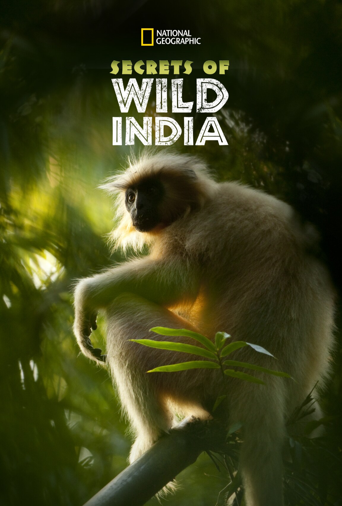 Secrets of Wild India (2012)