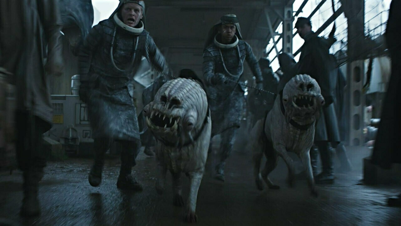 Corellian hounds
