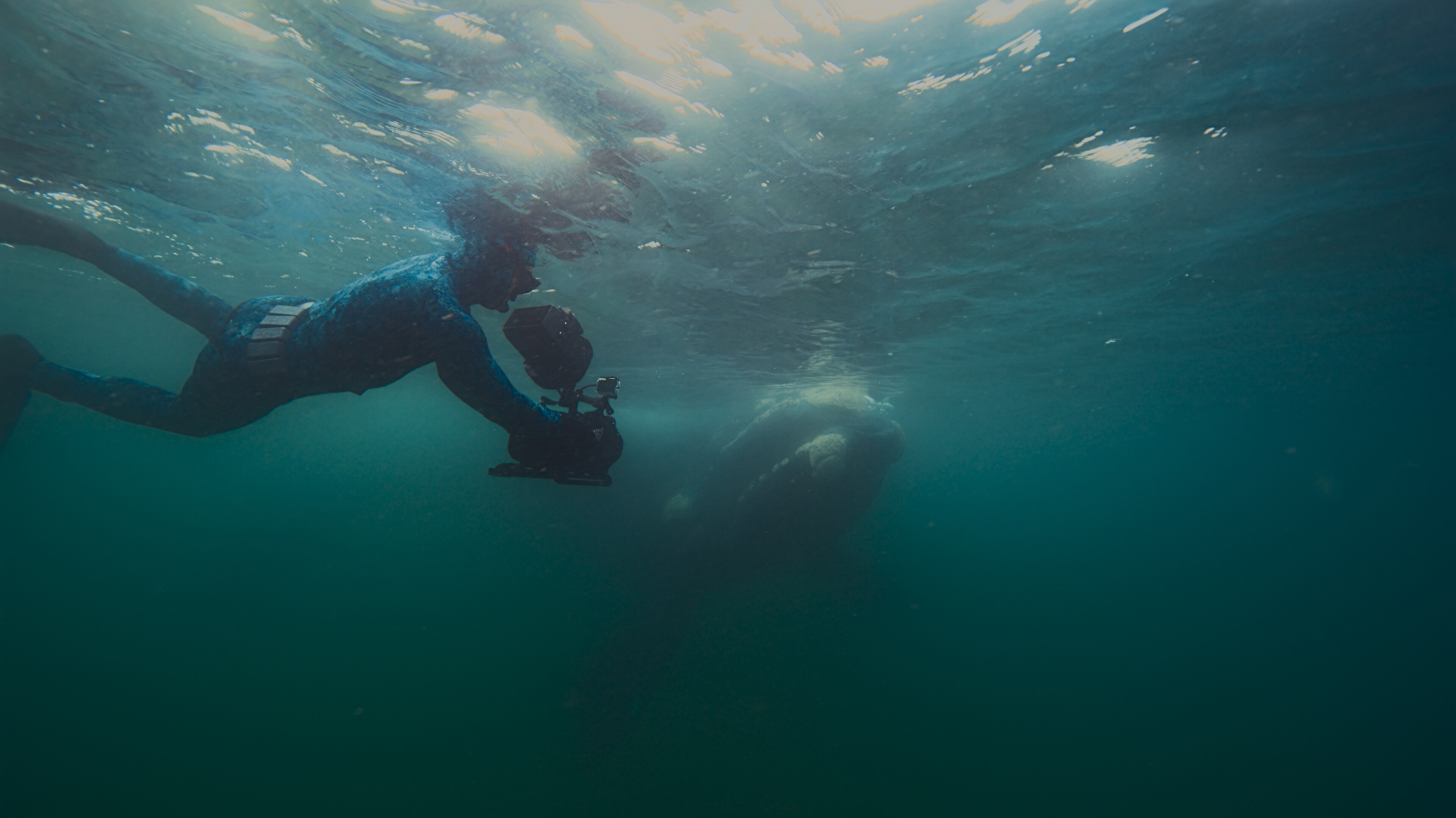 Lipiec w National Geographic, National Geographic Wild i Nat Geo People