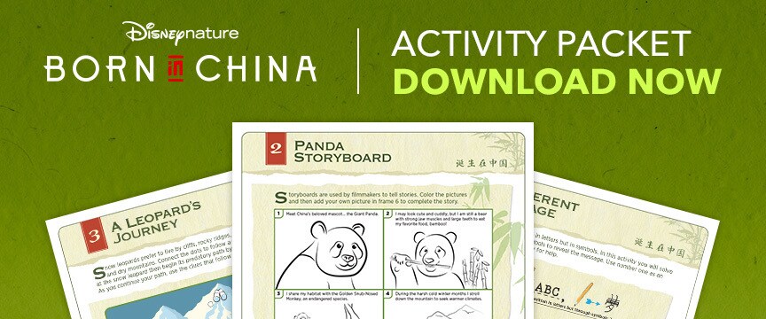 Born In China Activity Guide