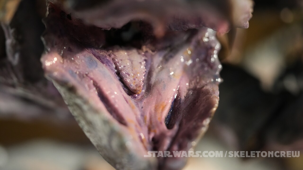 A close-up look at Mama Crab's maw.