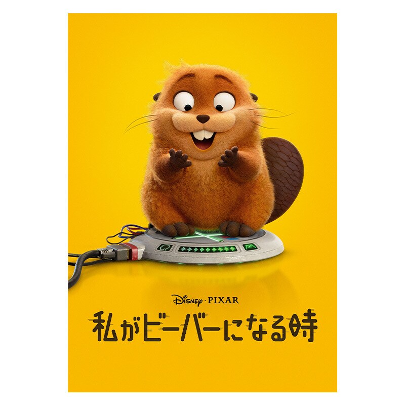 映画　私がビーバーになる時　プレスシート 私がビーバーになる時｜映画／ブルーレイ・DVD・デジタル配信