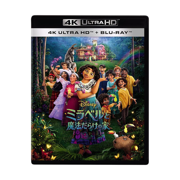 ミラベルと魔法だらけの家｜映画／ブルーレイ・DVD・デジタル配信