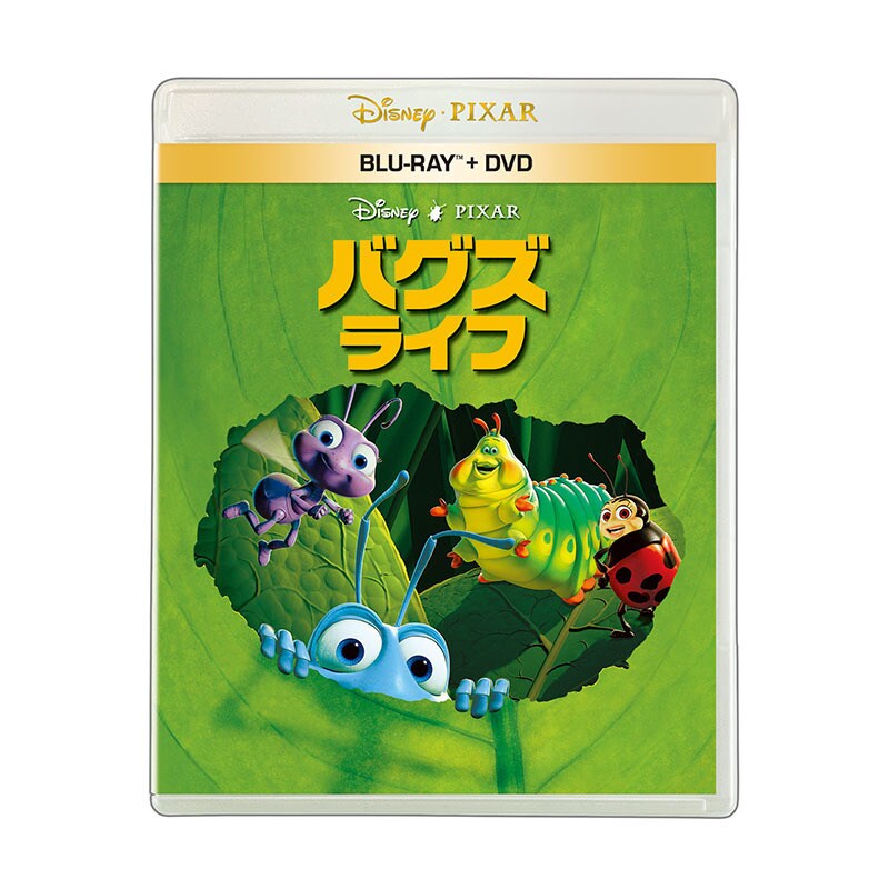 sku_wdxa-1141_b822a4e5.jpeg?