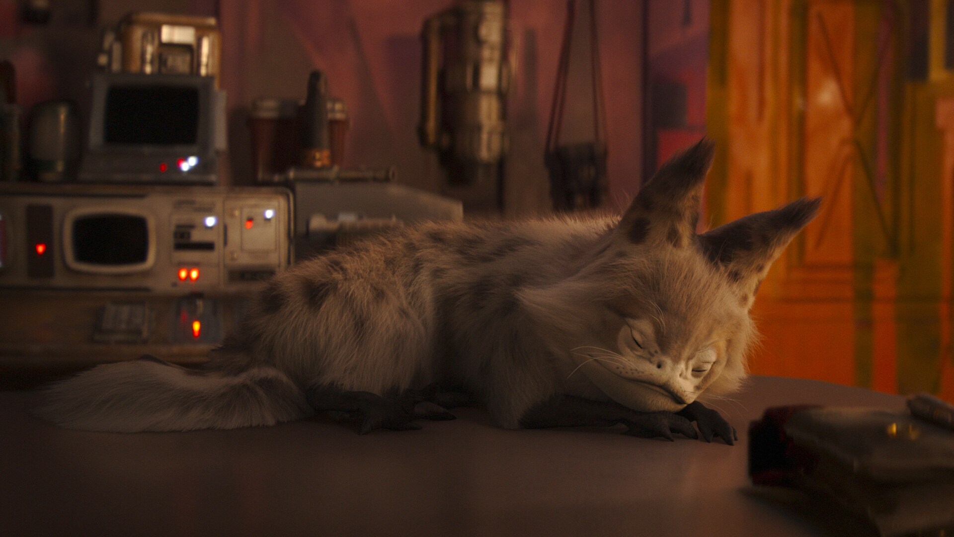 Cat Star Wars Hd Wallpapers Cat Star Wars Hd Wallpapers