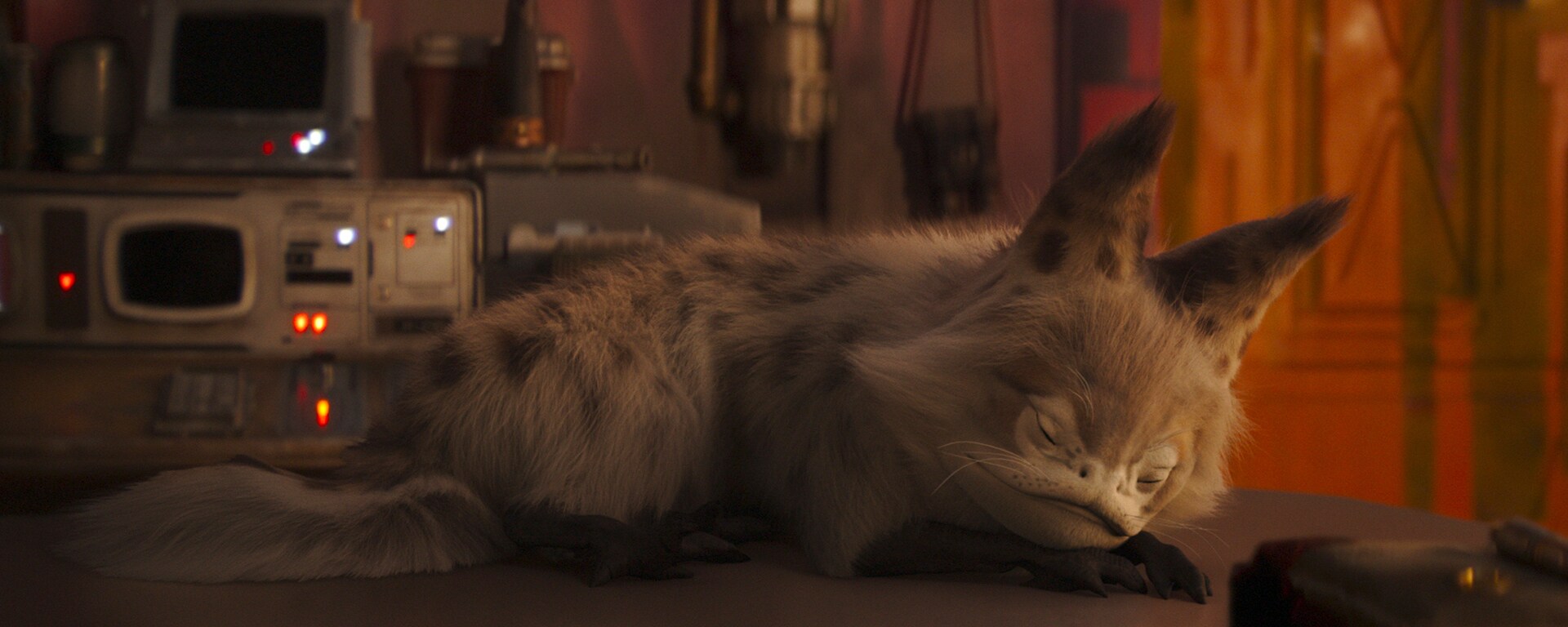 Sabine's Loth-cat takes a nap in a new Star Wars Lofi